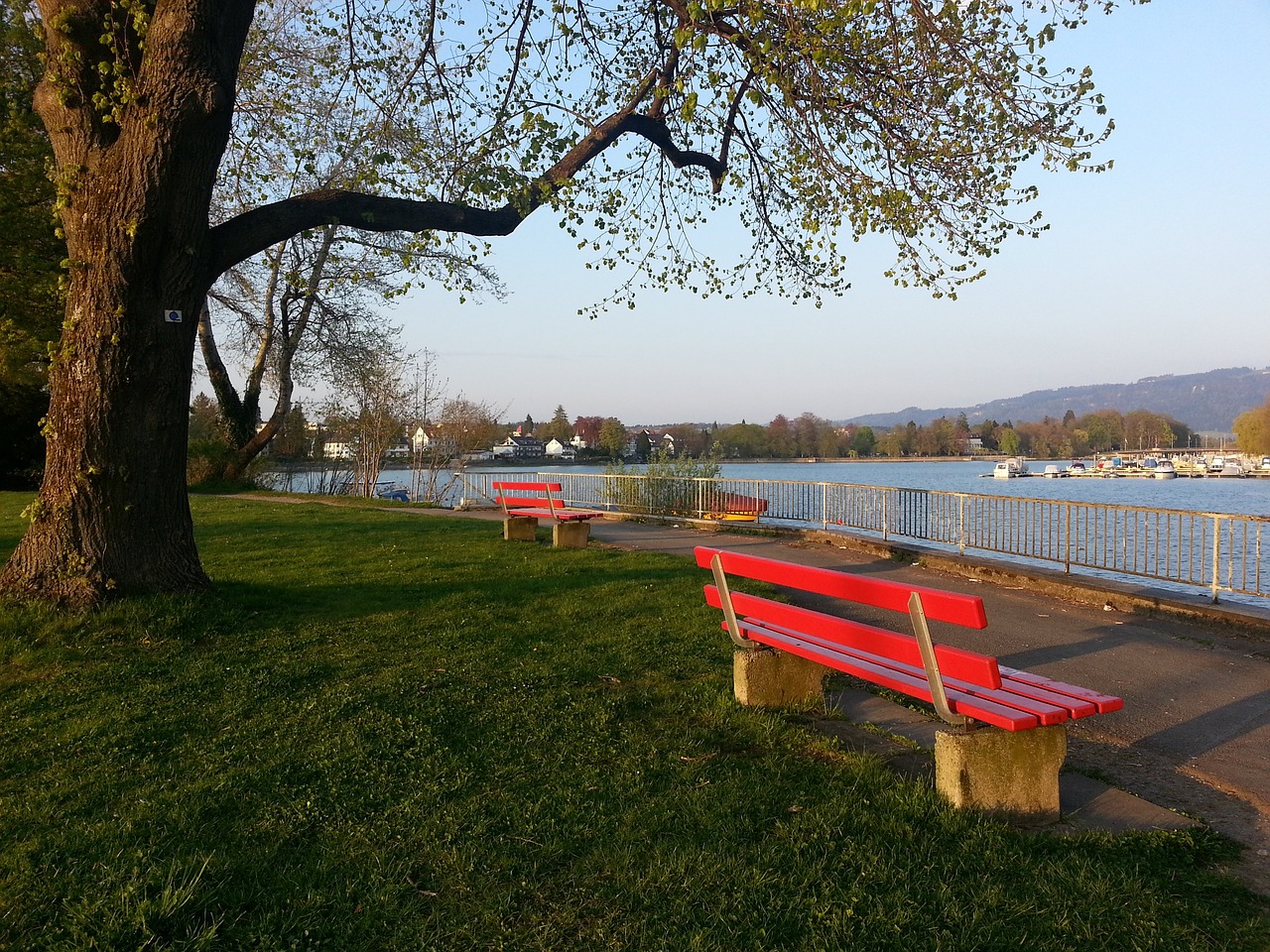 这一组合能 这一组合能