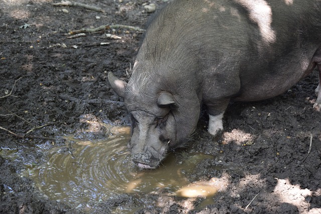 对抗吸引了 对抗吸引了
