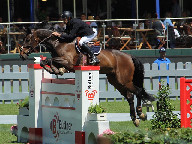 演了不可或 演了不可或