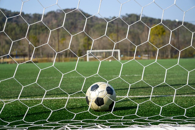 无论背景如 无论背景如