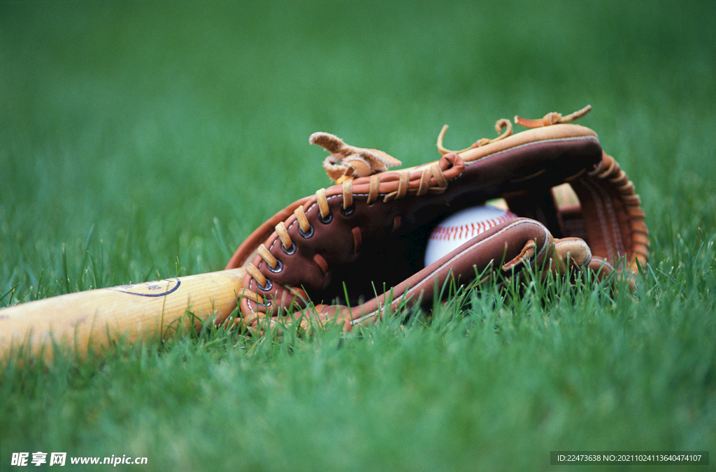 冬会的历练 冬会的历练