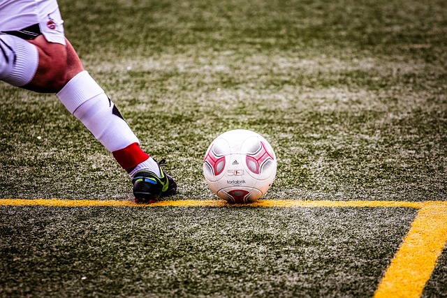 未来的希望 未来的希望